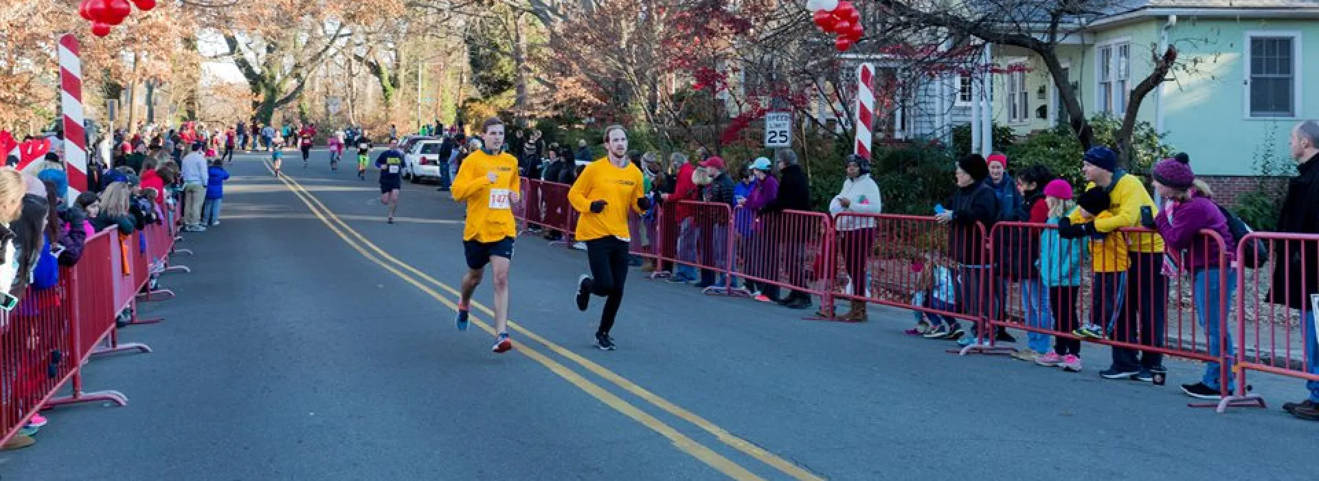 mistletoe-gallery-slide-5